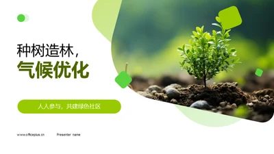 种树造林，气候优化