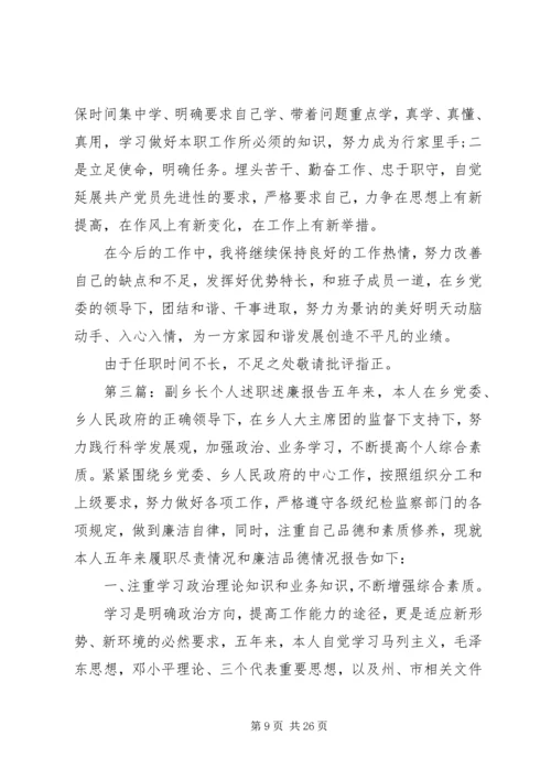 人民政府副乡长个人述职述廉报告.docx