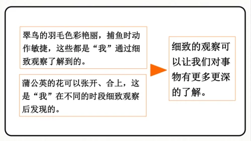 小学统编版三年级语文上册 语文园地五 课件