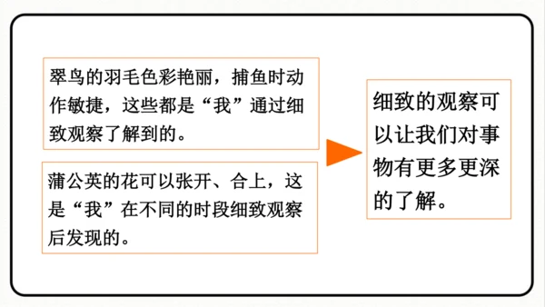 小学统编版三年级语文上册 语文园地五 课件