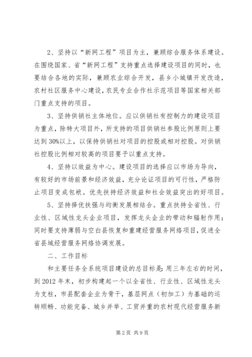 全省供销社系统项目建设指导意见.docx