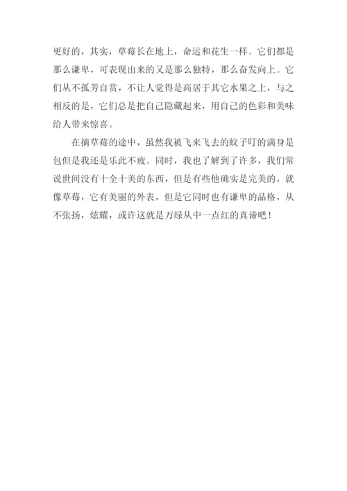 万绿丛中一点红作文700字.docx