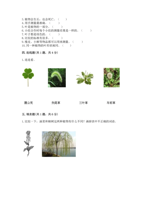 教科版一年级上册科学期末测试卷及完整答案（网校专用）.docx