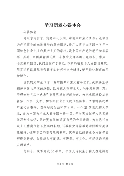 学习团章心得体会 (2).docx