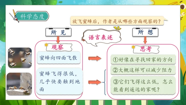 【核心素养】部编版语文三年级下册-14. 蜜蜂 第2课时（课件）