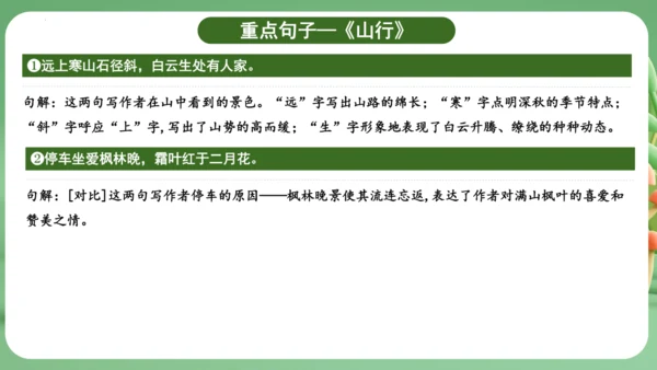 统编版2024三年级语文上册第二单元复习   课件