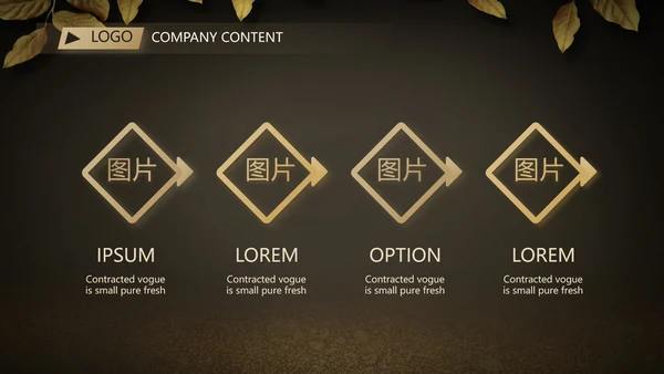 黑色高端大气商业计划书PPT动态模板