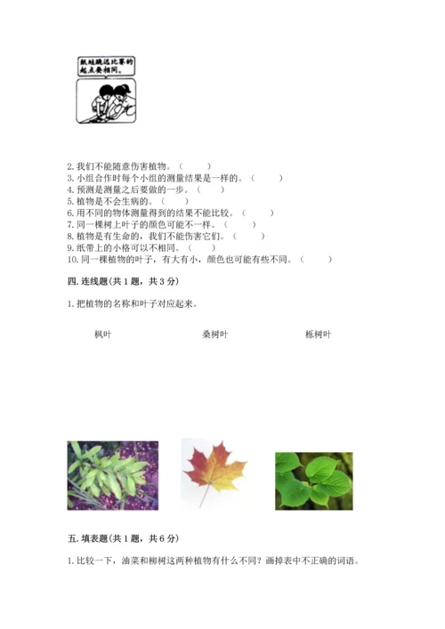 教科版一年级上册科学期末测试卷附答案（夺分金卷）.docx