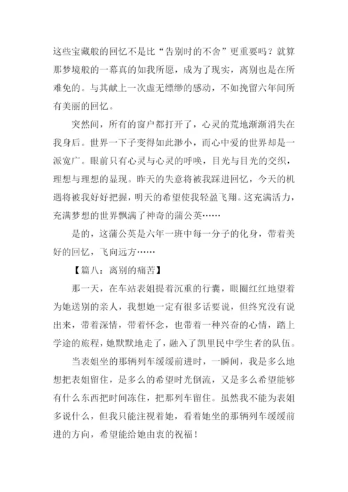 离别的痛作文.docx