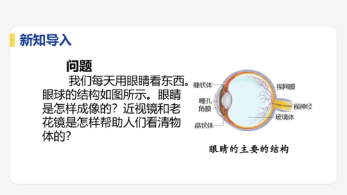 5.4  眼睛与眼镜  课件