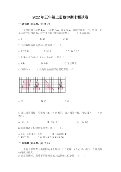 2022年五年级上册数学期末测试卷（典优）.docx