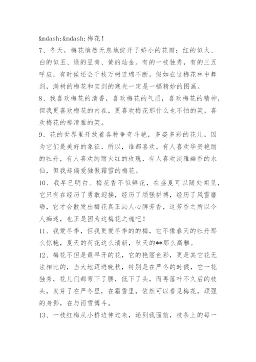 描写梅花的优美段落.docx