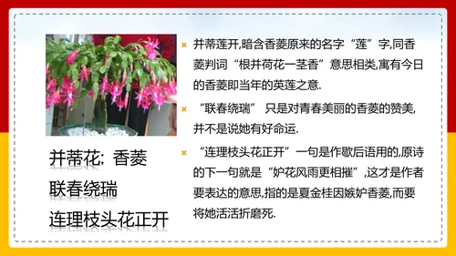 红楼梦选读高中语文教学PPT课件