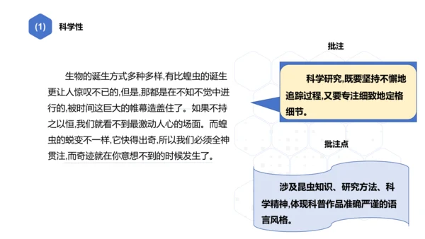 八年级上册语文 第五单元 名著导读《昆虫记》导读 课件