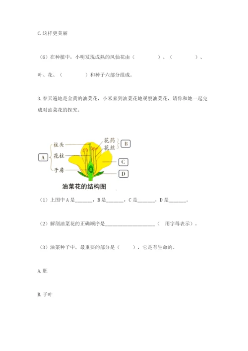 教科版四年级下册科学第一单元《植物的生长变化》测试卷【易错题】.docx