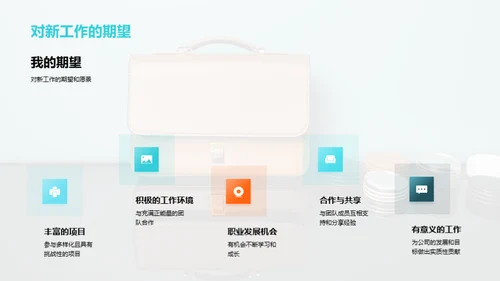职场旅程映照