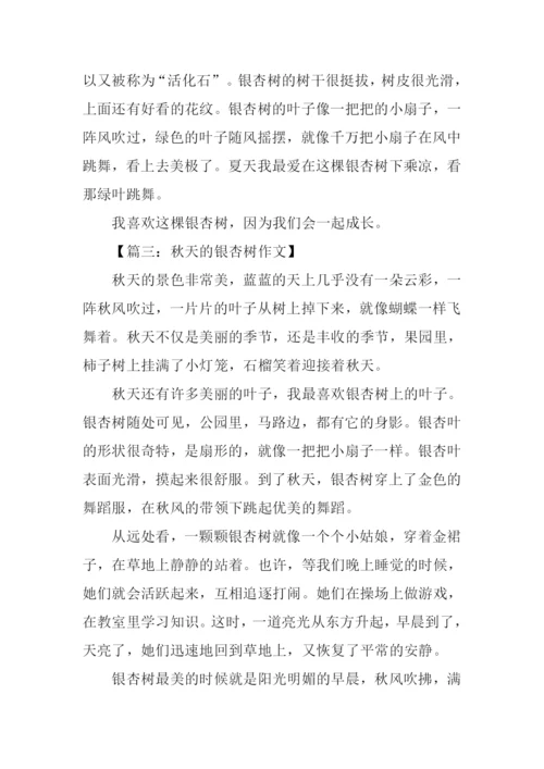 有关银杏树的作文.docx