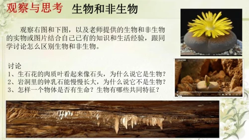 人教版（2024）七年级上册1.1.2 生物的特征 课件(共20张PPT)
