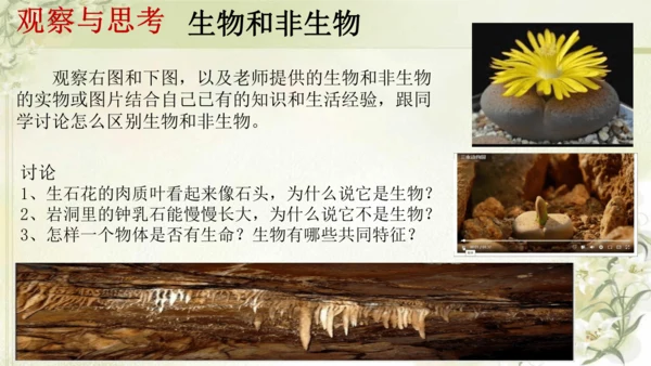 人教版（2024）七年级上册1.1.2 生物的特征 课件(共20张PPT)