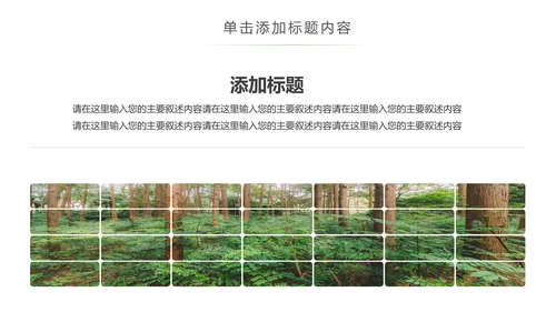 绿色森林植树造林林业木材园动态PPT模板