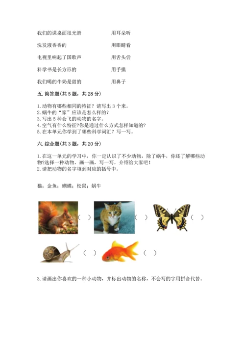 教科版一年级下册科学期末测试卷带答案（新）.docx