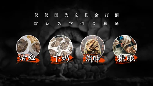 保护野生动物穿山甲通用PPT模板