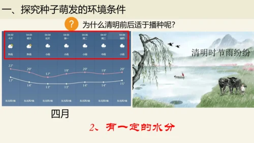 3.2.1 种子的萌发-2023-2024学年七年级生物上册优质课件（人教版）(共28张PPT)