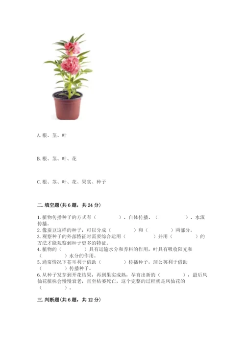 教科版科学四年级下册第一单元《植物的生长变化》测试卷带答案（实用）.docx