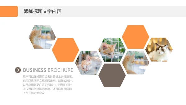 简约风宠物店商业计划书爱宠猫咪PPT模板