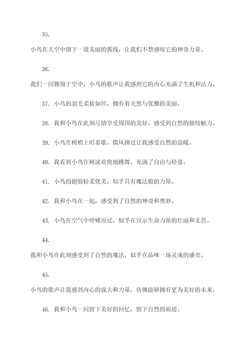 我和小鸟作文好词好句