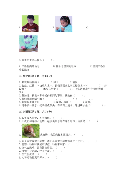 教科版一年级下册科学期末测试卷含完整答案【夺冠】.docx