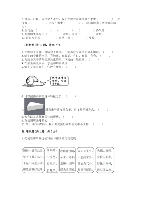 教科版一年级下册科学期末测试卷精品【考点梳理】.docx