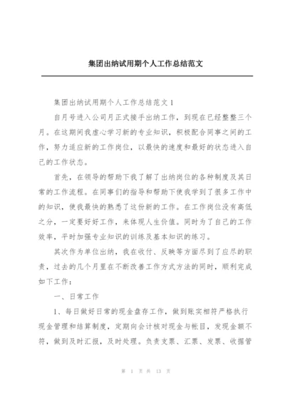 集团出纳试用期个人工作总结范文.docx