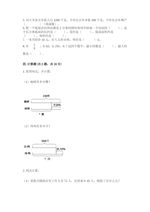 北京版六年级下册数学期中测试卷【典优】.docx