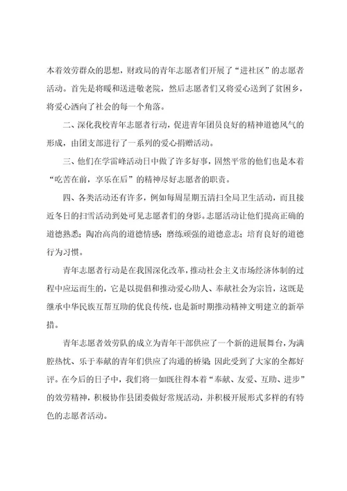 青年志愿者服务活动总结（9篇）