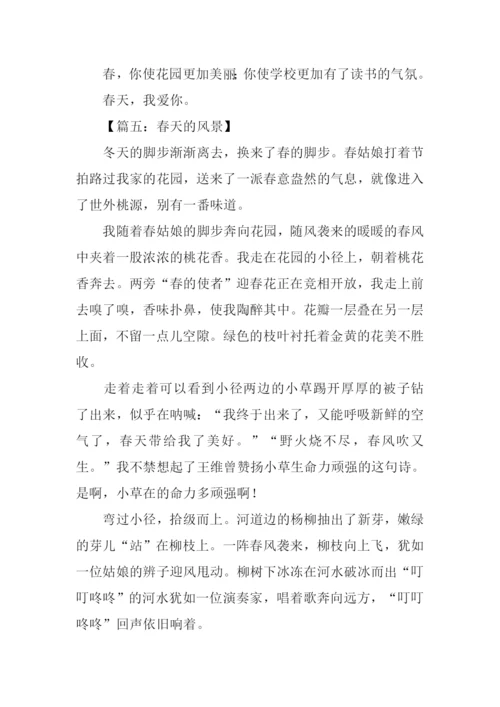 春天的风景作文300字.docx