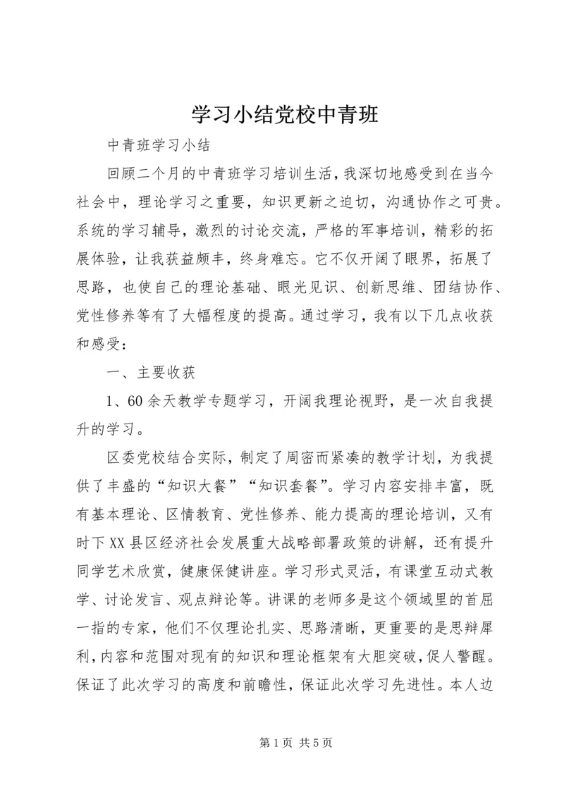 学习小结党校中青班.docx