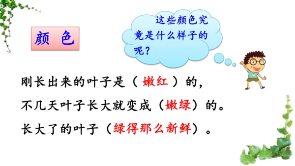 10 爬山虎的脚  课件