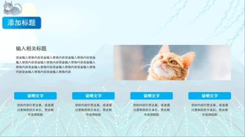 宠物猫咪喵喵成长通用PPT画册