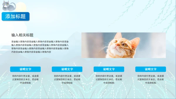 宠物猫咪喵喵成长通用PPT画册