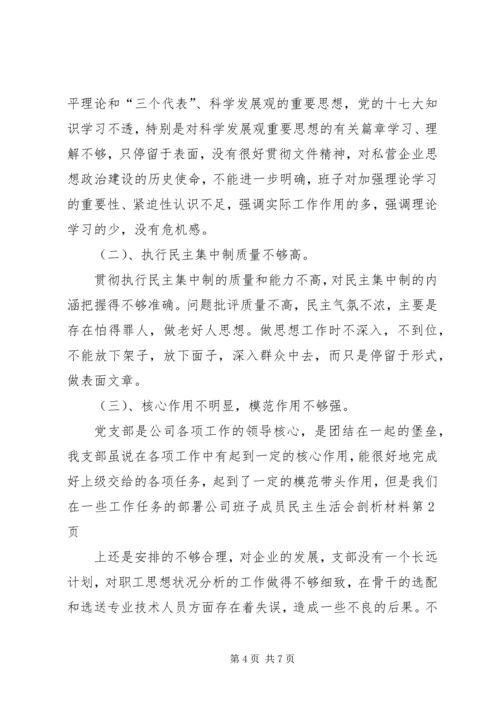 公司班子成员民主生活会剖析材料 (2).docx