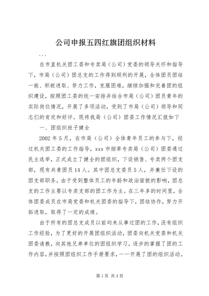 公司申报五四红旗团组织材料 (5).docx