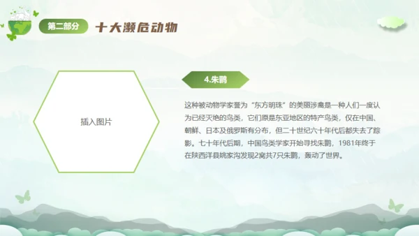 保护濒危动物，拯救美好生命通用PPT模板