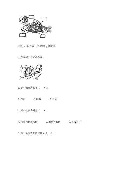 教科版科学一年级下册第二单元《动物》测试卷附参考答案考试直接用