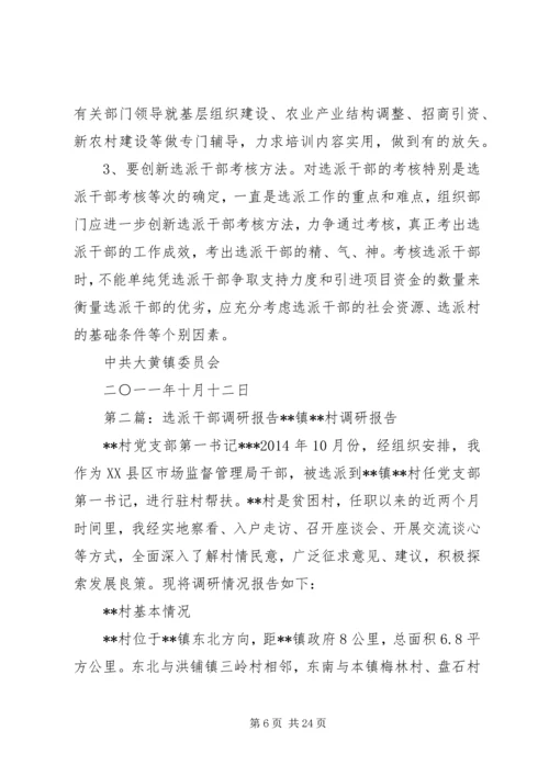 大黄镇选派工作专题调研报告_1.docx