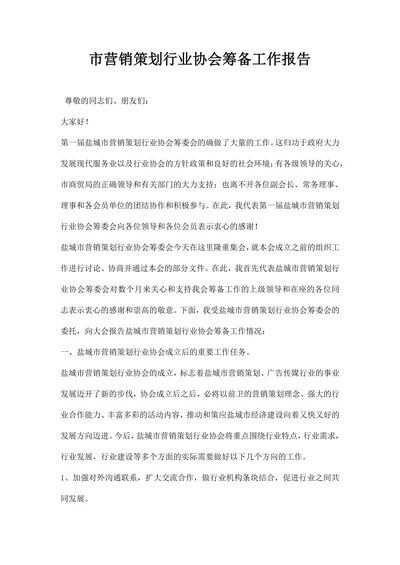 市营销策划行业协会筹备工作报告