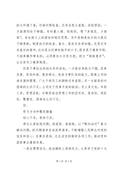 专题民主(组织)生活会个人检视剖析材料.docx