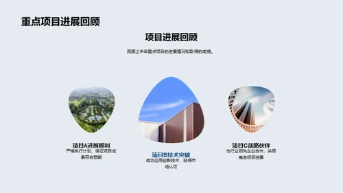 20XX年度房产业绩剖析