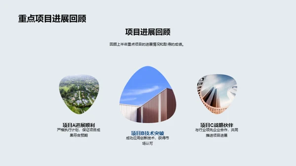 20XX年度房产业绩剖析