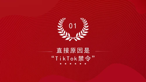 关于中美网民“小红书上交朋友”解说PPT课件